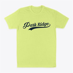 Park Ridge Illinois Vintage Team Classic Dad T-Shirt