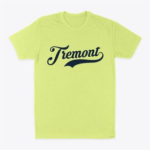 Tremont Illinois Vintage Team Classic Dad T-Shirt