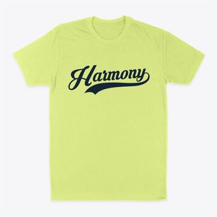 Harmony New York Vintage Team Classic Dad T-Shirt