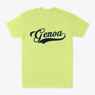 Genoa Nevada Vintage Team Classic Dad T-Shirt