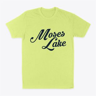 Moses Lake Washington Vintage Team Classic Dad T-Shirt