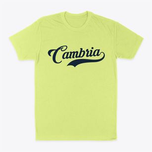 Cambria Wisconsin Vintage Team Classic Dad T-Shirt