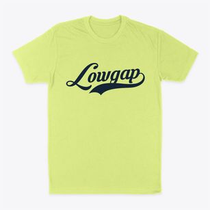 Lowgap North Carolina Vintage Team Classic Dad T-Shirt