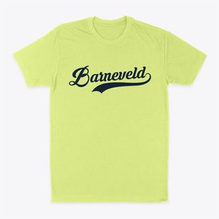 Barneveld New York Vintage Team Classic Dad T-Shirt