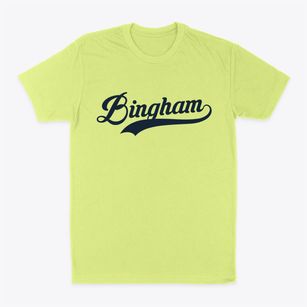 Bingham Illinois Vintage Team Classic Dad T-Shirt