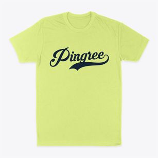 Pingree North Dakota Vintage Team Classic Dad T-Shirt