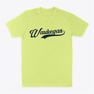 Waukegan Illinois Vintage Team Classic Dad T-Shirt