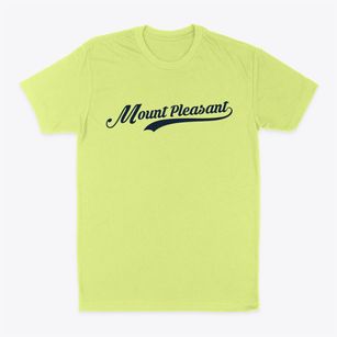 Mount Pleasant South Carolina Vintage Team Classic Dad T-Shirt
