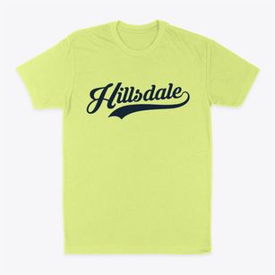 Hillsdale New Jersey Vintage Team Classic Dad T-Shirt