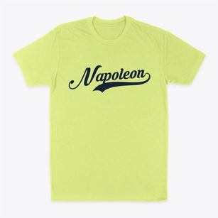 Napoleon Ohio Vintage Team Classic Dad T-Shirt