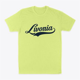 Livonia New York Vintage Team Classic Dad T-Shirt