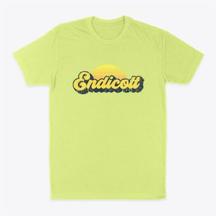 Endicott Washington Sublime Sunset Classic Dad T-Shirt