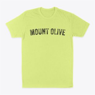 Mount Olive Illinois Timeless Retro Classic Dad T-Shirt
