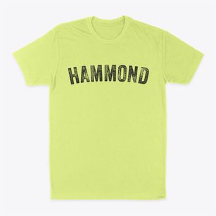 Hammond New York Timeless Retro Classic Dad T-Shirt