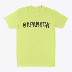 Napanoch New York Timeless Retro Classic Dad T-Shirt