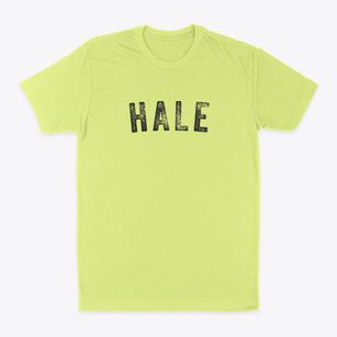 Hale Wisconsin Timeless Retro Classic Dad T-Shirt