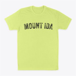Mount Ida Arkansas Timeless Retro Classic Dad T-Shirt