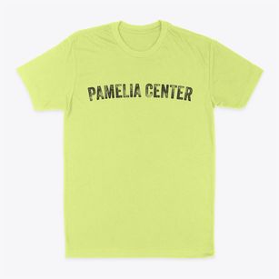 Pamelia Center New York Timeless Retro Classic Dad T-Shirt
