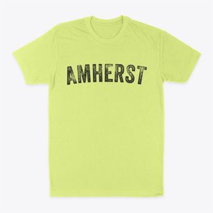 Amherst New Hampshire Timeless Retro Classic Dad T-Shirt