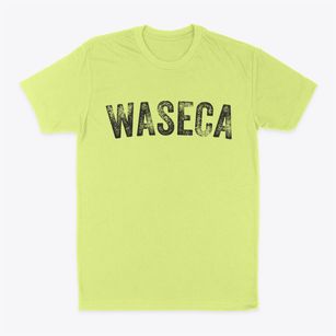 Waseca Minnesota Timeless Retro Classic Dad T-Shirt