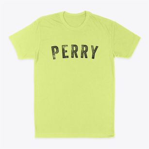 Perry Iowa Timeless Retro Classic Dad T-Shirt