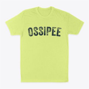 Ossipee New Hampshire Timeless Retro Classic Dad T-Shirt