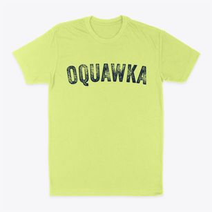 Oquawka Illinois Timeless Retro Classic Dad T-Shirt