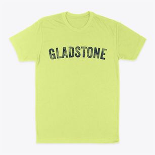 Gladstone Missouri Timeless Retro Classic Dad T-Shirt