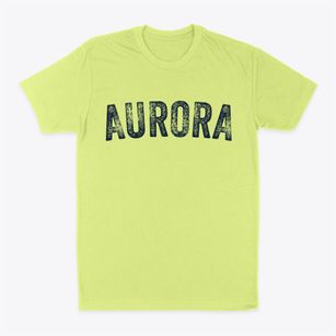 Aurora Wisconsin Timeless Retro Classic Dad T-Shirt