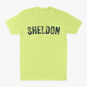 Sheldon Illinois Timeless Retro Classic Dad T-Shirt