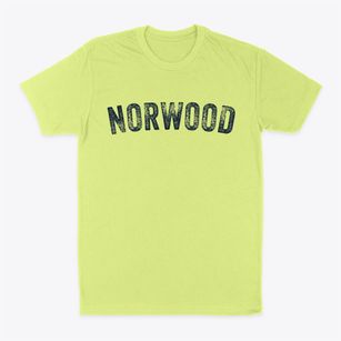 Norwood Missouri Timeless Retro Classic Dad T-Shirt