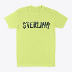 Sterling Illinois Timeless Retro Classic Dad T-Shirt