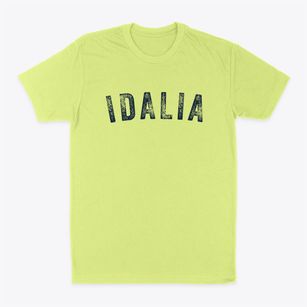 Idalia Colorado Timeless Retro Classic Dad T-Shirt