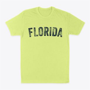 Florida Missouri Timeless Retro Classic Dad T-Shirt