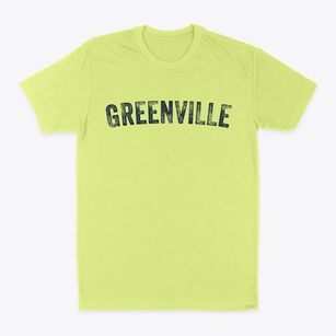 Greenville South Carolina Timeless Retro Classic Dad T-Shirt