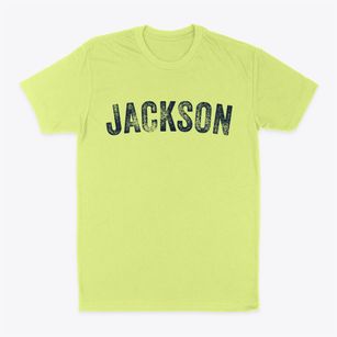 Jackson Tennessee Timeless Retro Classic Dad T-Shirt