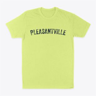 Pleasantville New York Timeless Retro Classic Dad T-Shirt