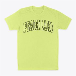 Peach Lake New York Trendy Block Classic Dad T-Shirt