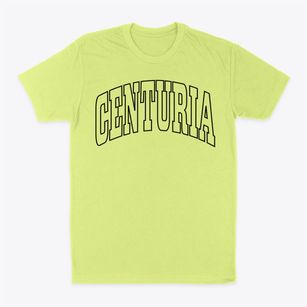 Centuria Wisconsin Trendy Block Classic Dad T-Shirt