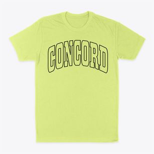 Concord Illinois Trendy Block Classic Dad T-Shirt