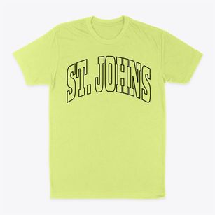 St. Johns Michigan Trendy Block Classic Dad T-Shirt