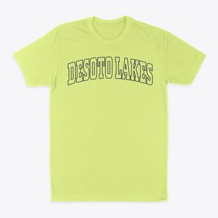 Desoto Lakes Florida Trendy Block Classic Dad T-Shirt
