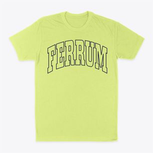 Ferrum Virginia Trendy Block Classic Dad T-Shirt
