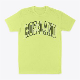 Roseland Florida Trendy Block Classic Dad T-Shirt