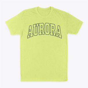 Aurora Oregon Trendy Block Classic Dad T-Shirt