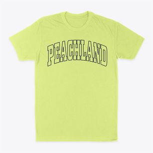 Peachland North Carolina Trendy Block Classic Dad T-Shirt