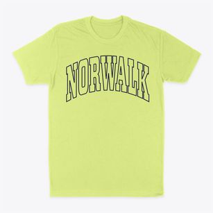 Norwalk California Trendy Block Classic Dad T-Shirt