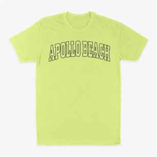 Apollo Beach Florida Trendy Block Classic Dad T-Shirt