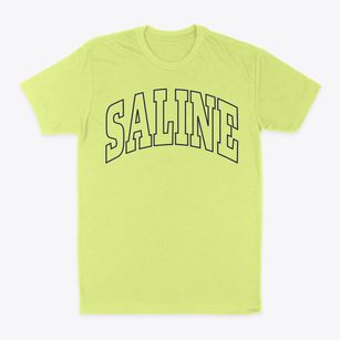 Saline Louisiana Trendy Block Classic Dad T-Shirt