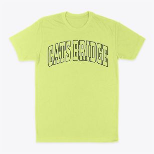 Cats Bridge Virginia Trendy Block Classic Dad T-Shirt